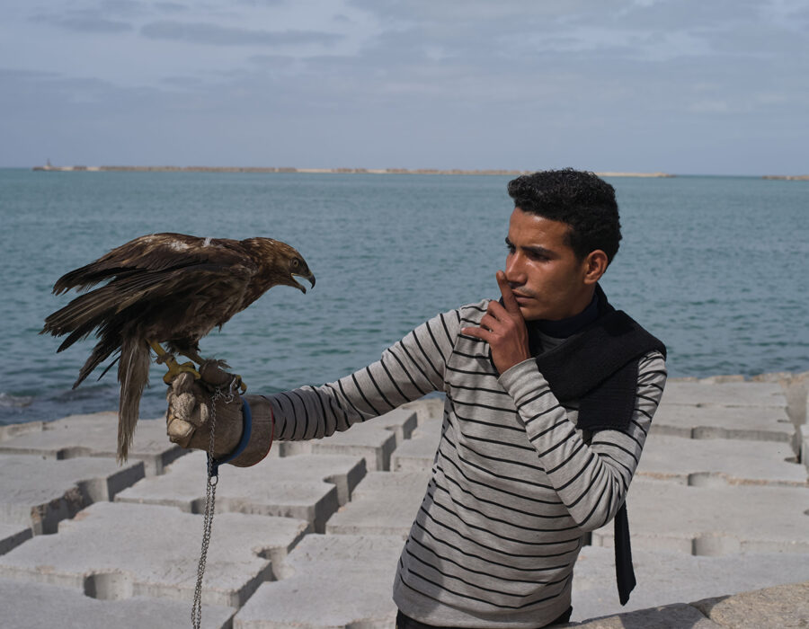 Mohamed_Hassan5